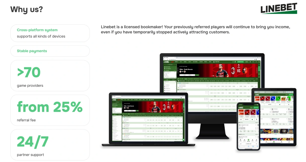 Linebet affiliate partner program dashboard